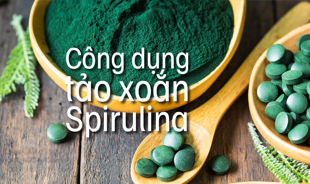 Top 9 công dụng hữu ích của tảo xoắn Spirulina