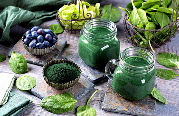 Top 3 lý do Tảo xoắn Spirulina được mệnh danh là siêu thực phẩm tương lai