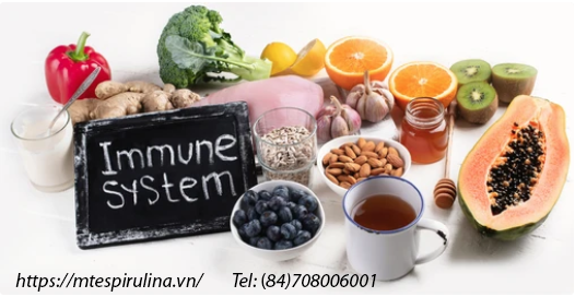 Hệ thống miễn dịch hoạt động như thế nào?